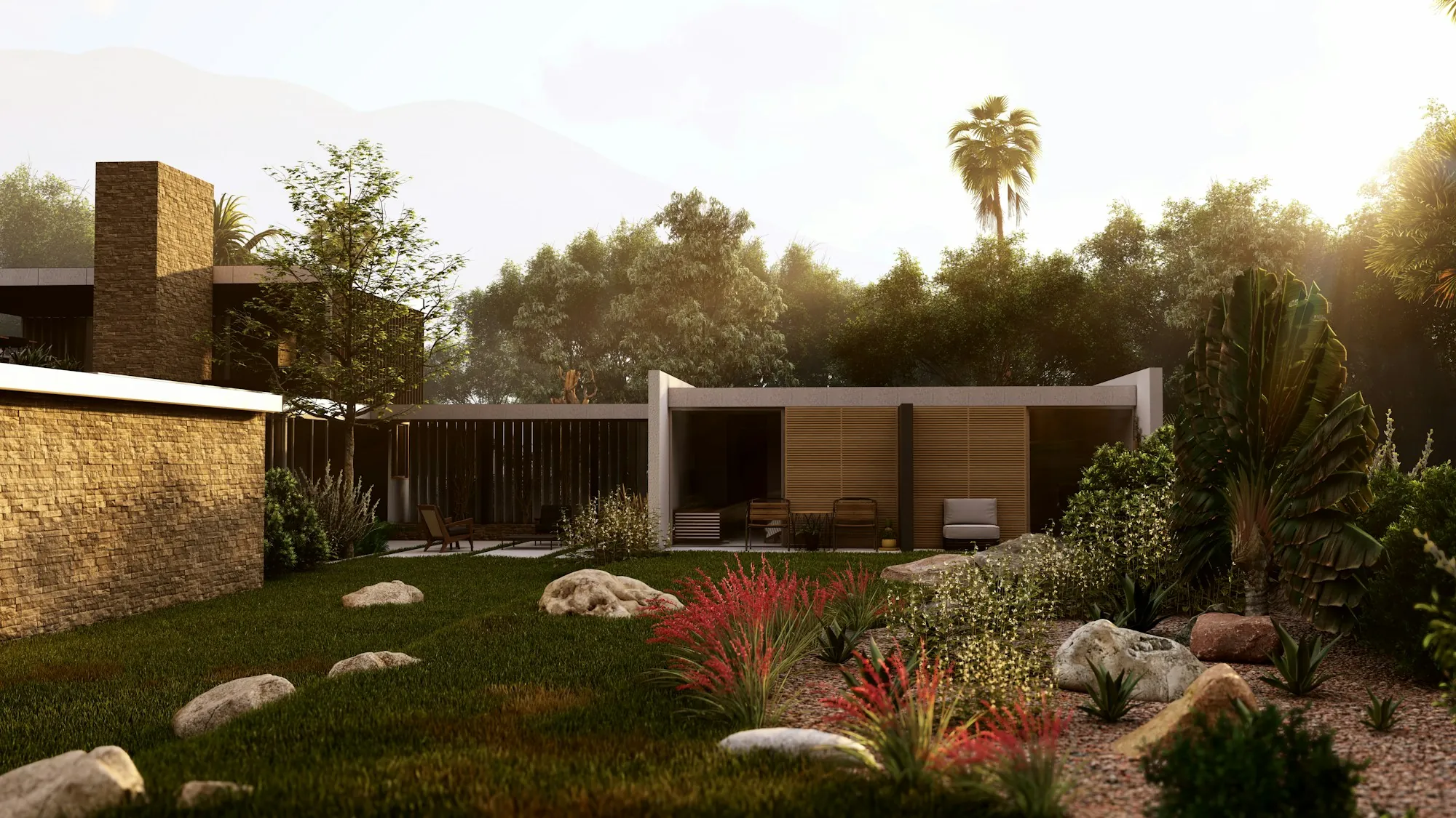 Backyard with drought-tolerant landscaping, boulders and a palm tree